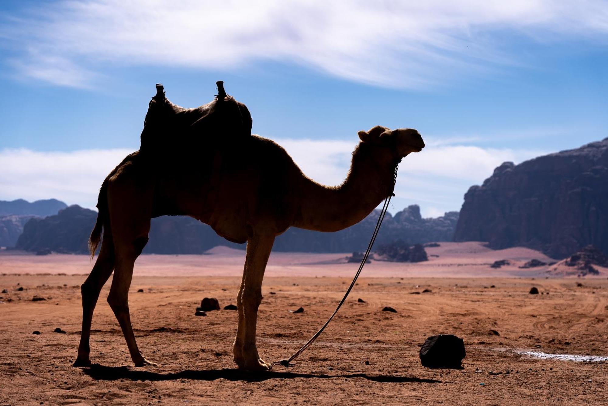 Oblivion Camp Wadi Rum Exterior foto